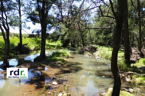 4854 Nullamanna Rd, Wellingrove, NSW 2370