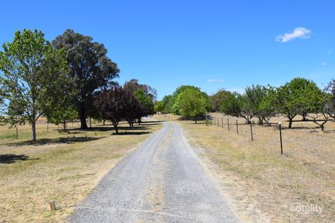 Property photo of 98 Old Gap Road Manton NSW 2582