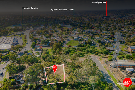 9 Pethard Pl, Golden Square, VIC 3555