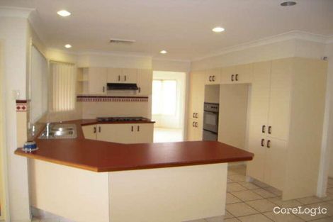 Property photo of 9 Olearia Crescent Warabrook NSW 2304