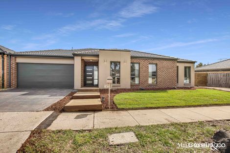 Property photo of 4 Marlowe Grange Mernda VIC 3754