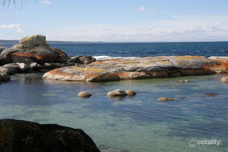 Property photo of 9 Felmingham Street Binalong Bay TAS 7216