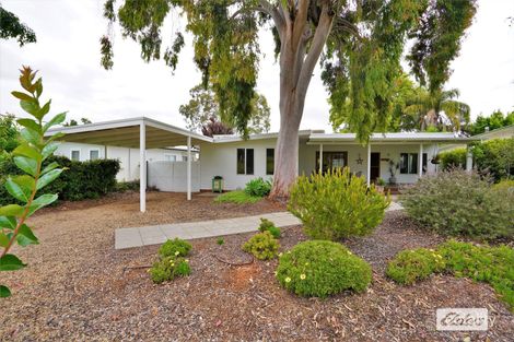 Property photo of 24 Thomson Street Griffith NSW 2680