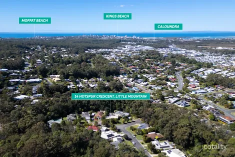 Property photo of 14 Hotspur Crescent Little Mountain QLD 4551