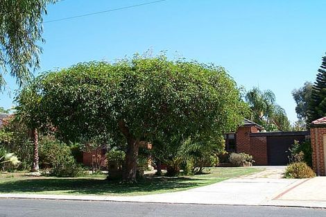 58 Bradshaw Cres, Manning, WA 6152