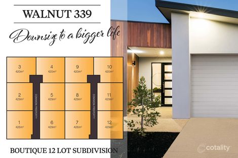 12 Walnut Ave, Mildura, VIC 3500