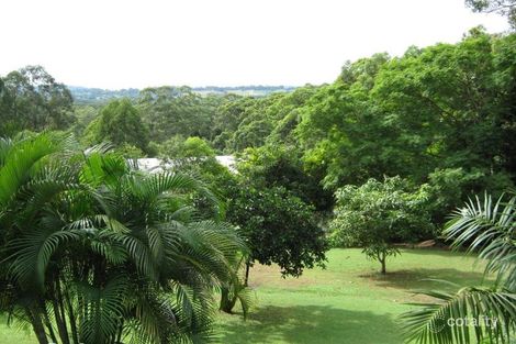 Property photo of 81 Parsons Knob Road West Woombye QLD 4559