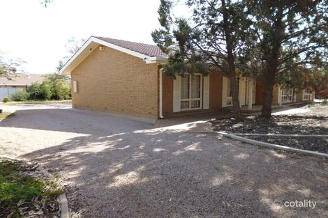 Property photo of 31 Collingwood Street Risdon Park SA 5540