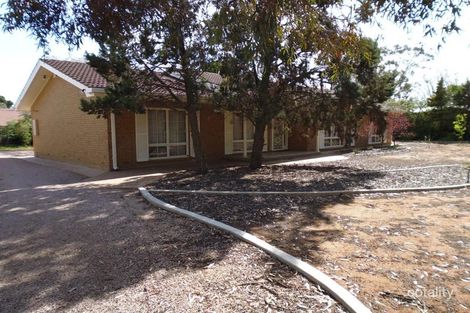 31 Collingwood St, Risdon Park, SA 5540