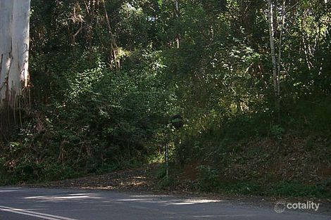 2190 Springbrook Rd, Springbrook, QLD 4213