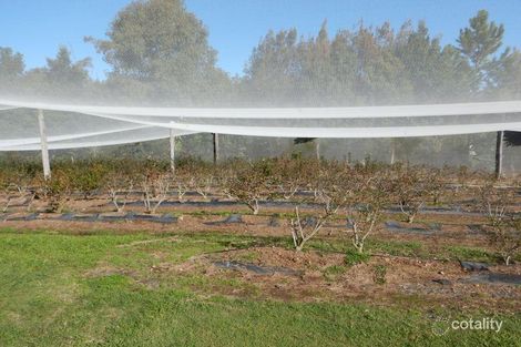 Innes Way, Korora, NSW 2450