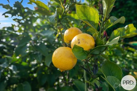 Property photo of 1/1 Chestnut Avenue Lutana TAS 7009