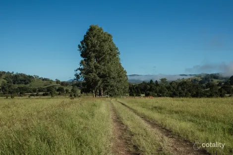 Contact Agent For Address, Wiangaree, NSW 2474
