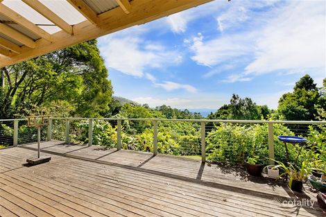 Property photo of 384 Playfords Road Comboyne NSW 2429