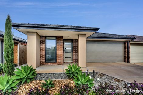Property photo of 36 Toyon Road Kalkallo VIC 3064