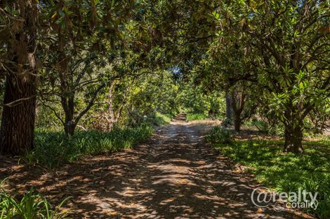 Property photo of 779 Chester Pass Road Willyung WA 6330