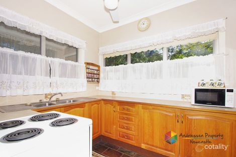 Property photo of 2 Harrisons Lane Cardiff Heights NSW 2285