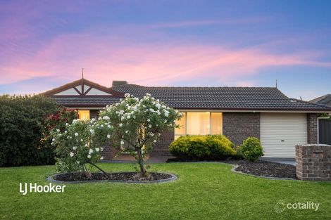 42 Brunswick Tce, Wynn Vale, SA 5127