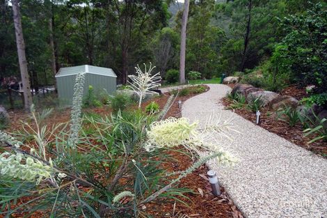 Property photo of 22 Kauri Court Bonogin QLD 4213