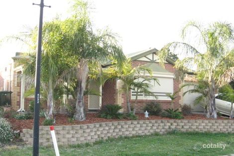 6 Tyrone Ct, Wynn Vale, SA 5127