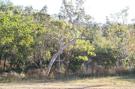 33 Mount Elliot Dr, Alligator Creek, QLD 4816