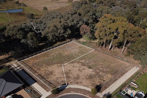 6 Hyssop Ct, Baranduda, VIC 3691