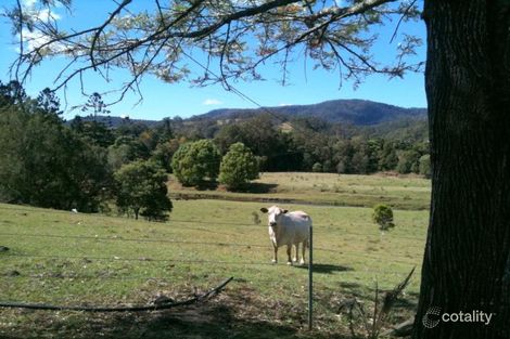 Property photo of 637 Doon Doon Road Doon Doon NSW 2484