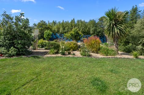 Property photo of 9 Athol Street Lutana TAS 7009