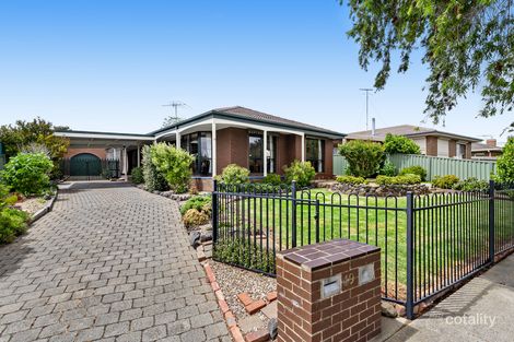 19 Ainslie Ave, Grovedale, VIC 3216