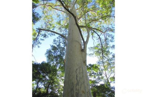 1389 Upper Myall Rd, Warranulla, NSW 2423