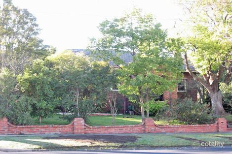 Property photo of 31 Through Road Camberwell VIC 3124