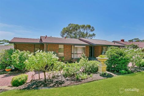 Property photo of 62 Birksgate Drive Urrbrae SA 5064