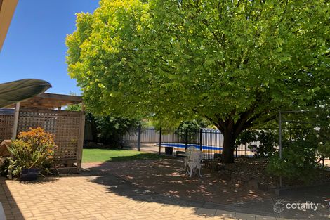 19 Falkenberg Rd, Nuriootpa, SA 5355