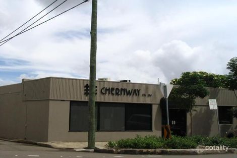 4 Young St, Annandale, NSW 2038