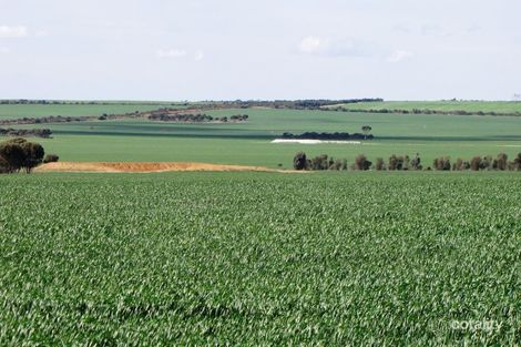 13015 Biddy-Camm Rd, Lake King, WA 6356