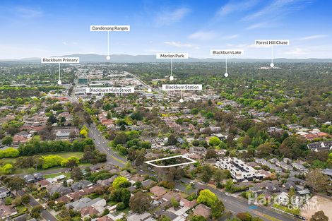 Property photo of 1A Frankcom Street Blackburn VIC 3130