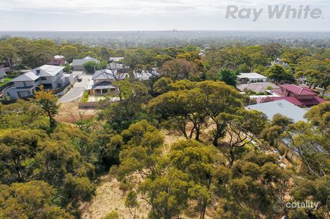 Property photo of 9 Windsor Avenue Burnside SA 5066