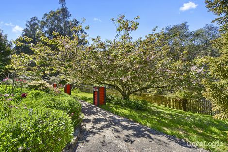 Property photo of 134 Fairy Glen Road Collinsvale TAS 7012
