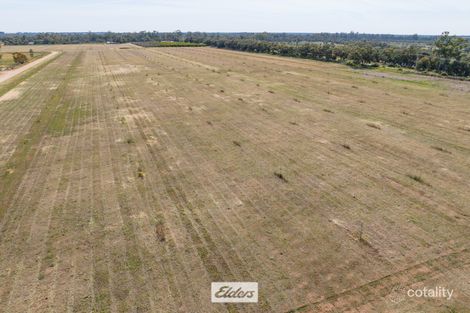 Property photo of 62 Cootamundra Avenue Red Cliffs VIC 3496