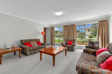 Property photo of 55 Imperial Avenue Cannon Hill QLD 4170