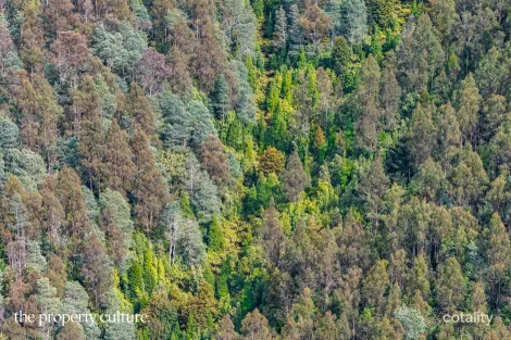 Property photo of 3 Bakers Creek Road Lucaston TAS 7109