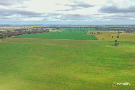 223 Morans Rd, Bribbaree, NSW 2594