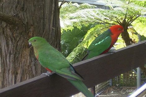 Property photo of 17 Hunter Avenue St Ives NSW 2075