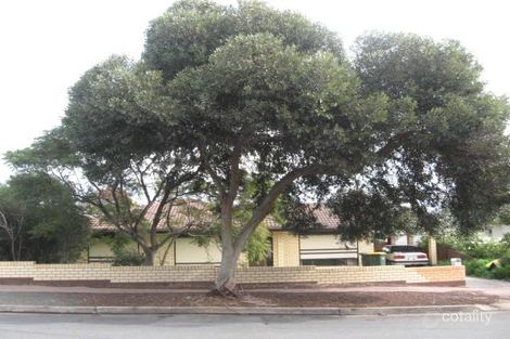 Property photo of 56 Kauri Parade Kingston Park SA 5049