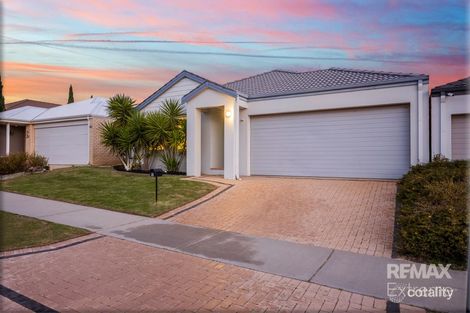 Property photo of 41 Billericay Circuit Butler WA 6036