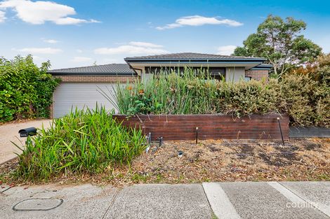 Property photo of 27 Red Maple Drive Cranbourne West VIC 3977