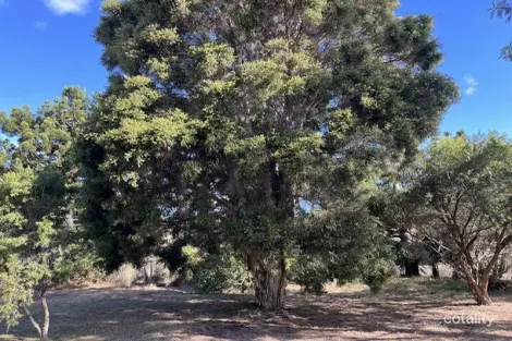 Property photo of 58 Spring Creek Road Killarney QLD 4373