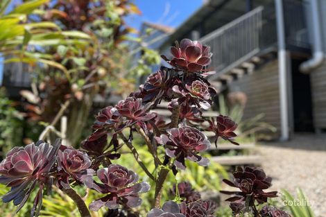 Property photo of 1723 Maleny-Stanley River Road Booroobin QLD 4552