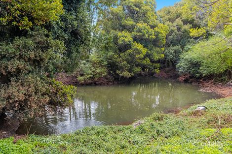 Property photo of 474 Lismore Road Binna Burra NSW 2479