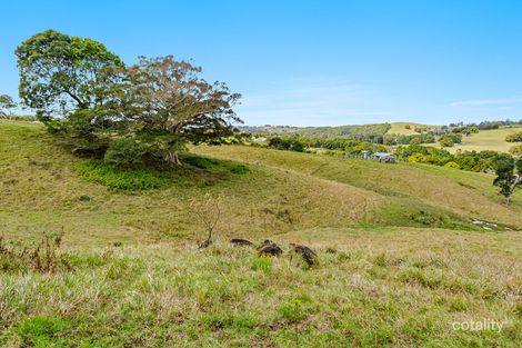 Property photo of 474 Lismore Road Binna Burra NSW 2479